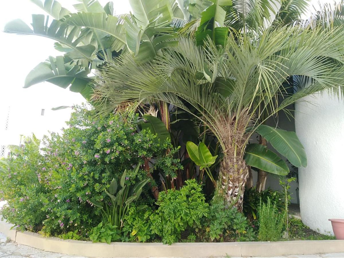 Garden View Vilamoura Apartment Экстерьер фото